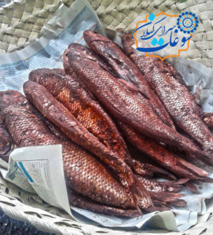 خرید ماهی شور